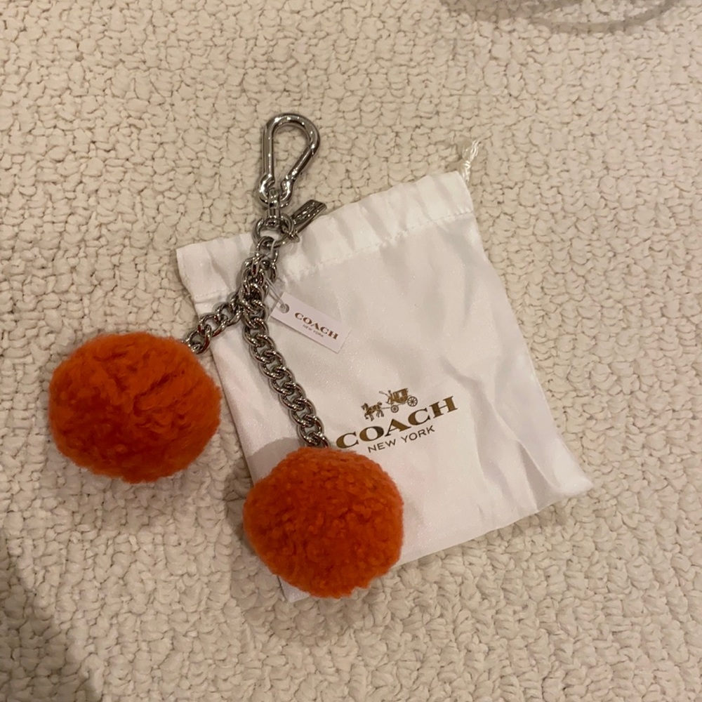 Coach bag accessories